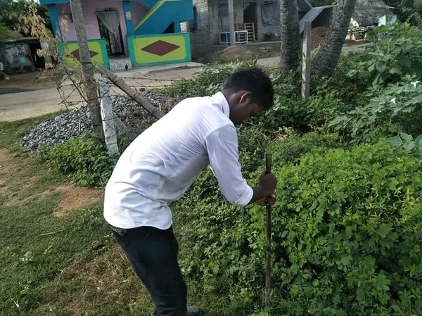 Student working in the garden